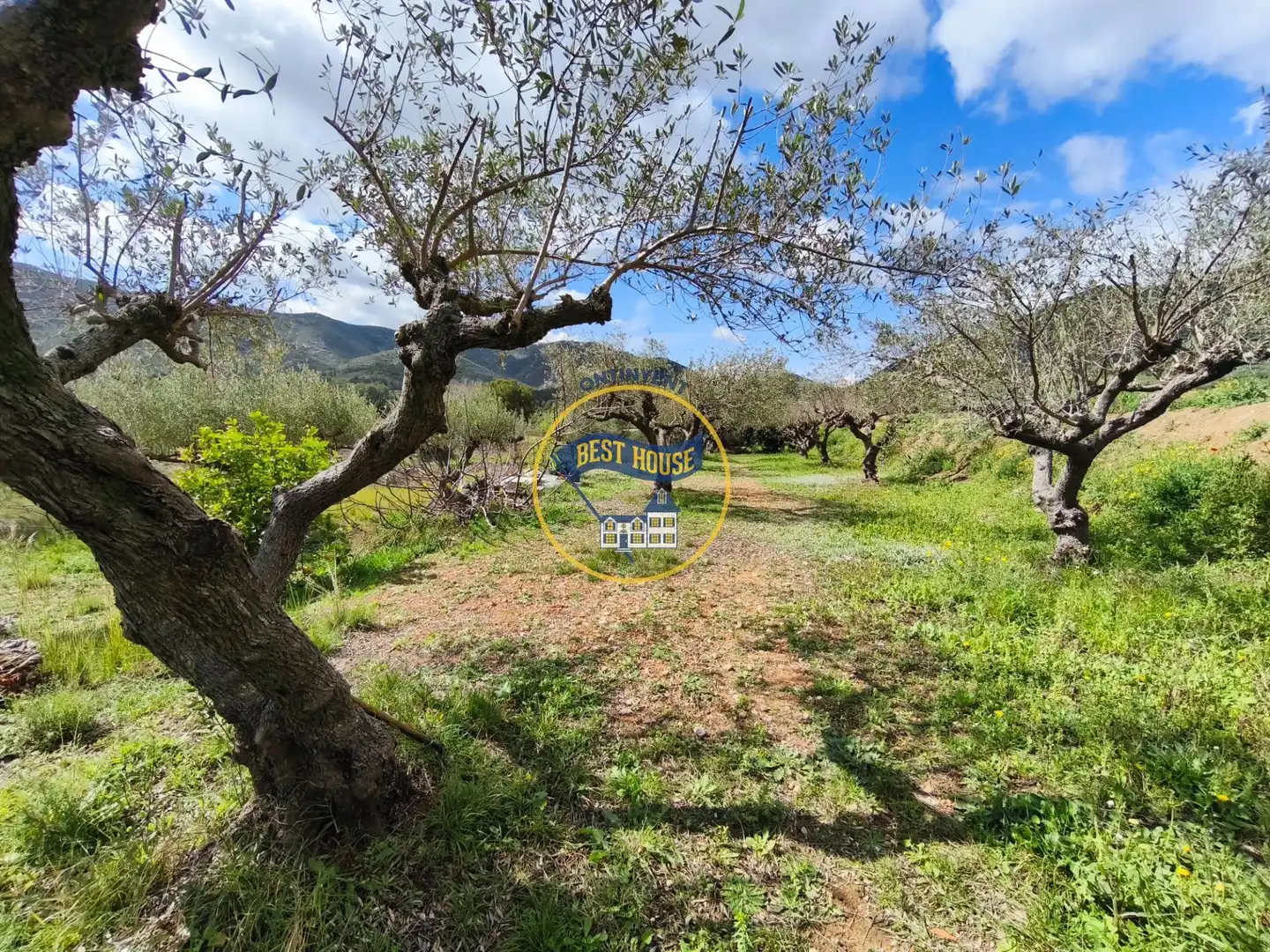 Xalet en venda a Aielo de Malferit, imagen 32