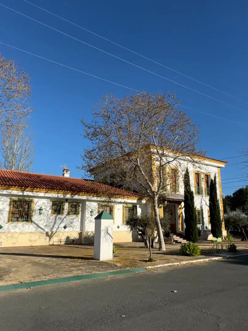 Vista exterior de Nave industrial en venta en Cedillo del Condado con Alarma