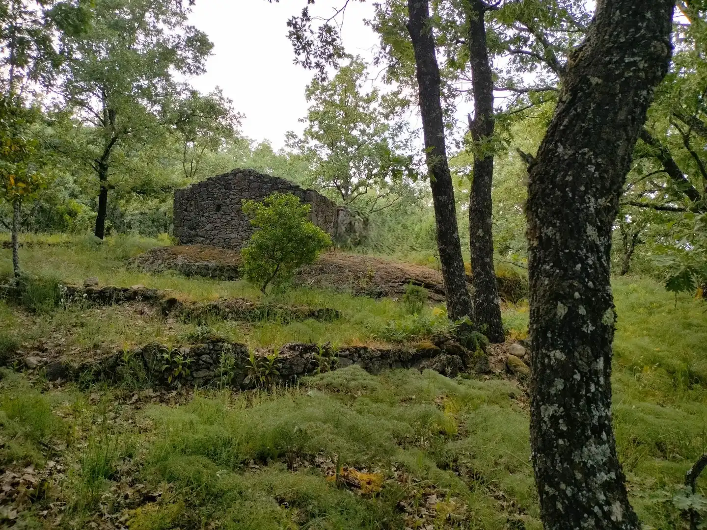 Terreni e lotti in vendita a Villanueva de la Vera, imagen 16