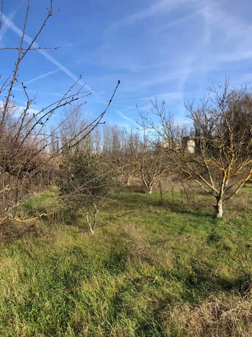 Terreni e lotti in vendita a Murillo de Río Leza, imagen 11