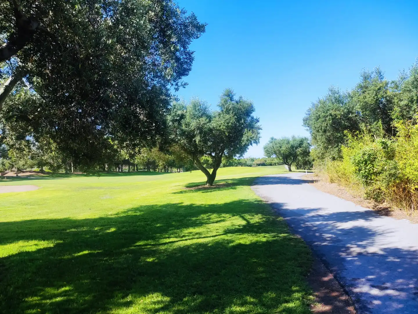 Residential for sale in Carrer de les Roses, Migjorn