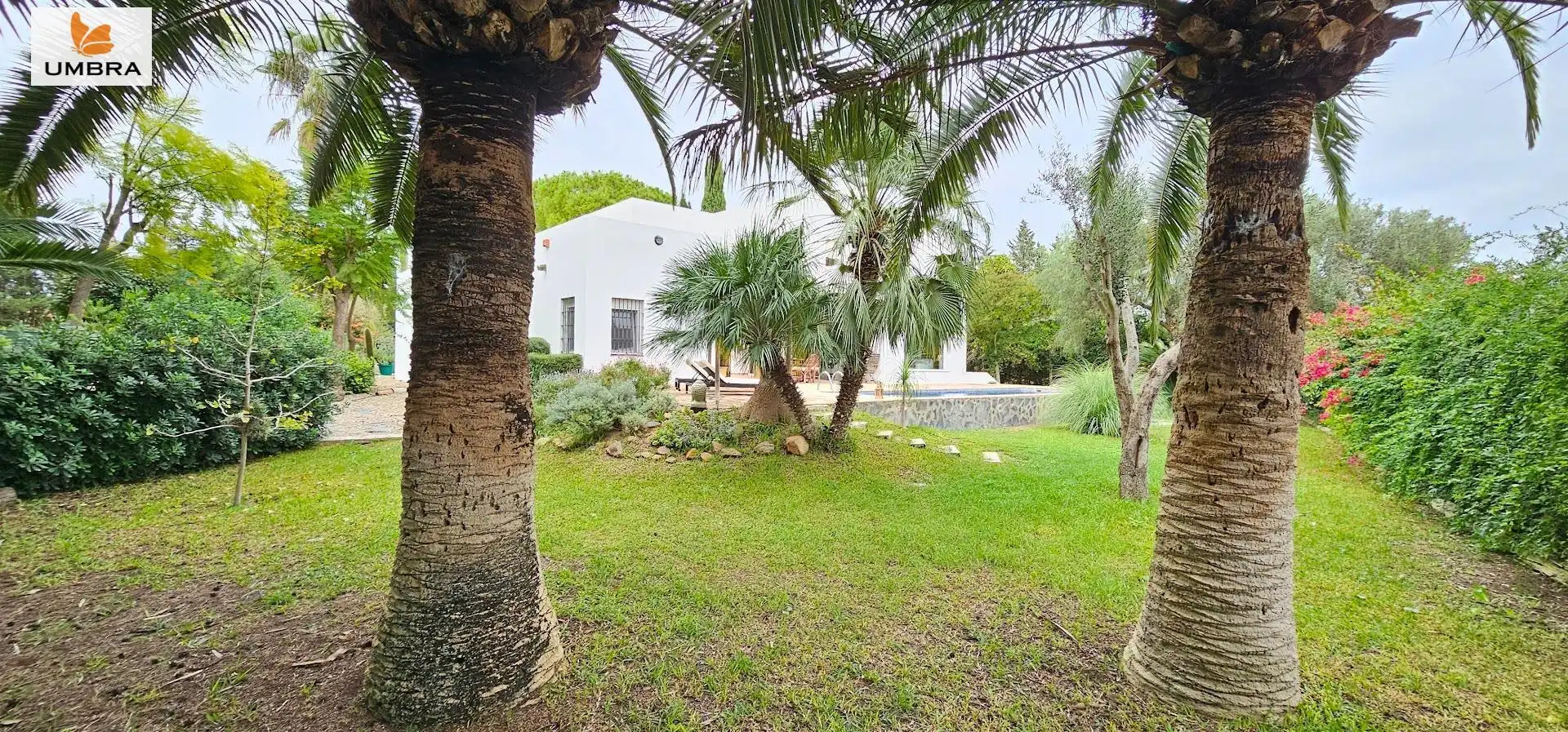 Houses for sale in Parque Atlántico - Ronda este