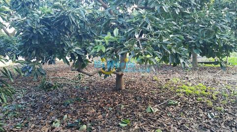 Foto 3 de Residencial en venda a Centro, Nerja