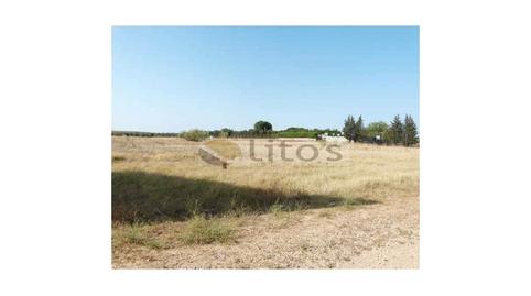 Foto 2 de Residencial en venta en La Hacienda - Nueva Andalucía, Sevilla