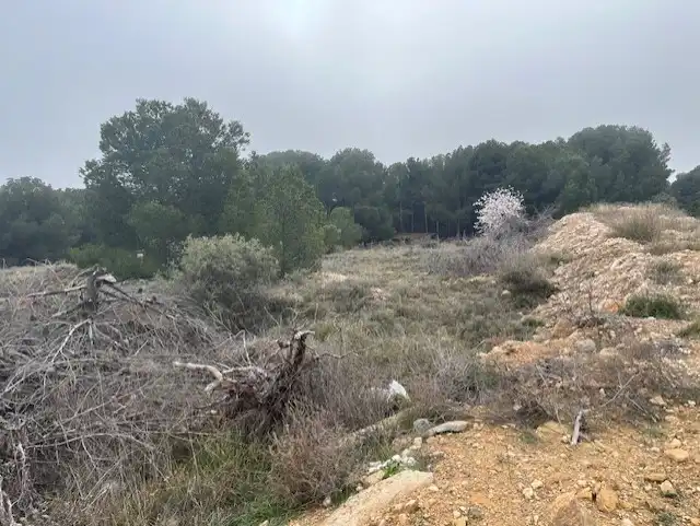 Terreno residenziale in vendita a Calle Don Quijote de la Mancha, imagen 7