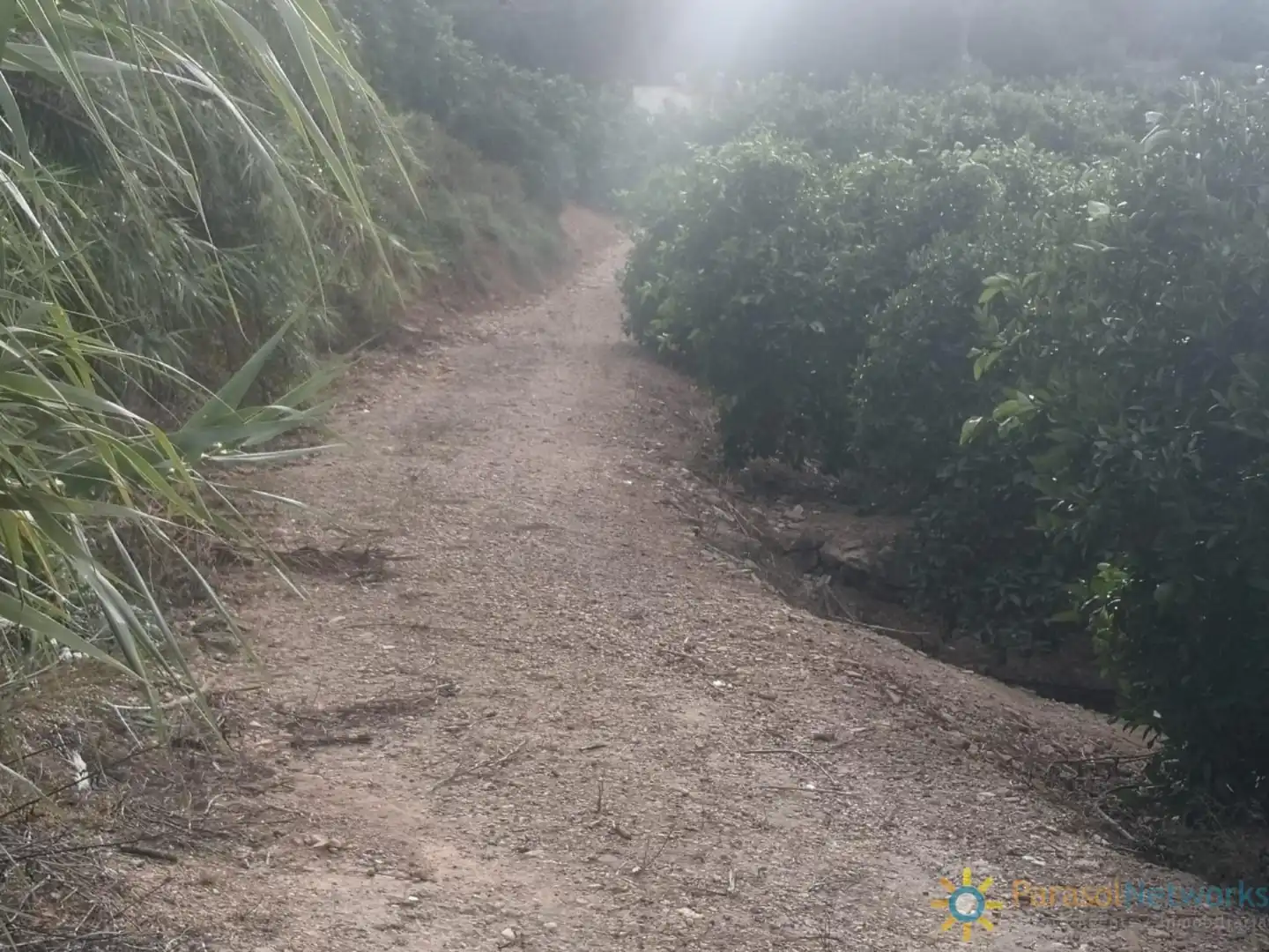 Terreno en venta en Sellent