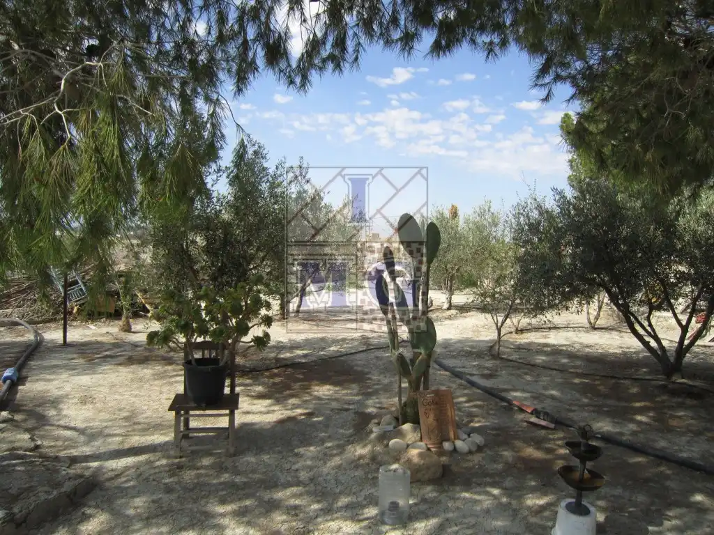 Casa o chalet en venta en Fortuna