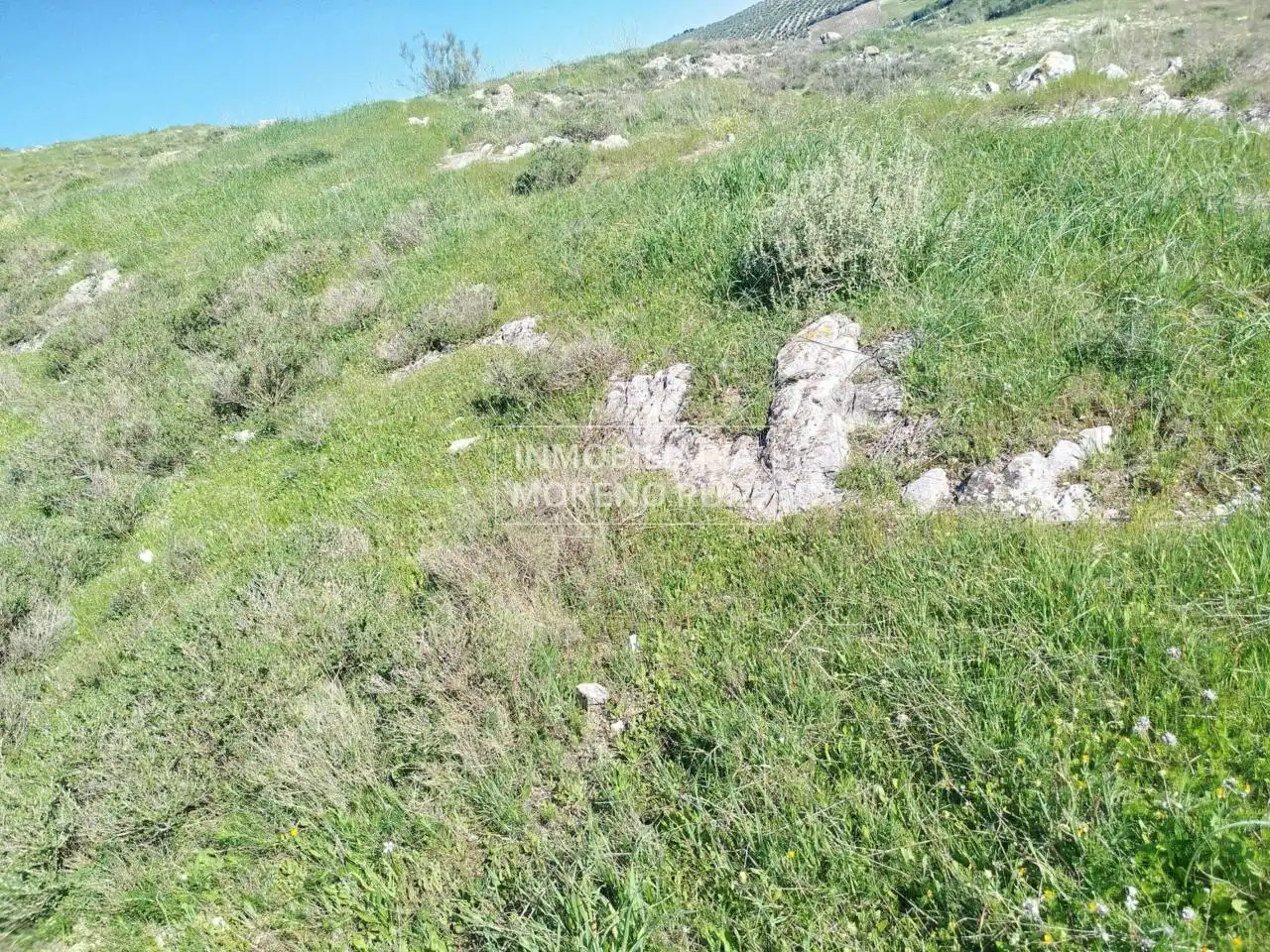 Terreny residencial en venda a Luque