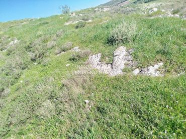 Terreno residenziale in vendita a Luque