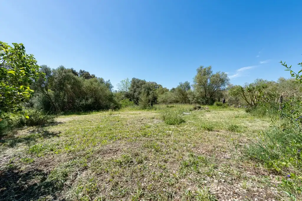Casa rustica con piscina in vendita a Búger, imagen 15