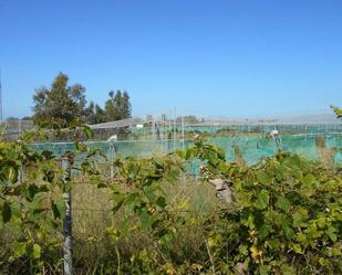 Swimming pool of Industrial land for sale in Rota