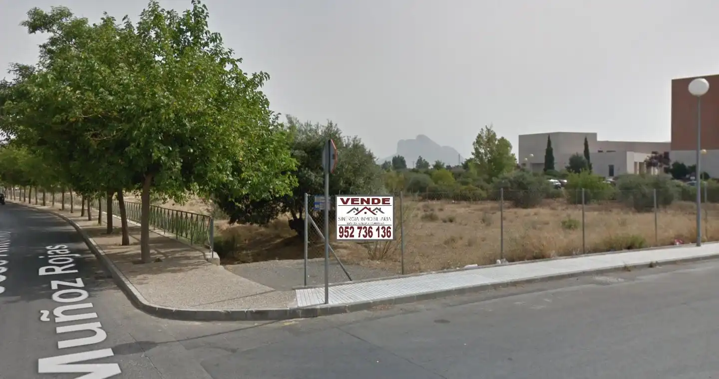 Lands and plots for sale in Poeta Muñoz Rojas, imagen 23