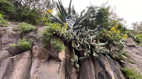 Finca Rustica en Cruz de Tierno, immagine 4