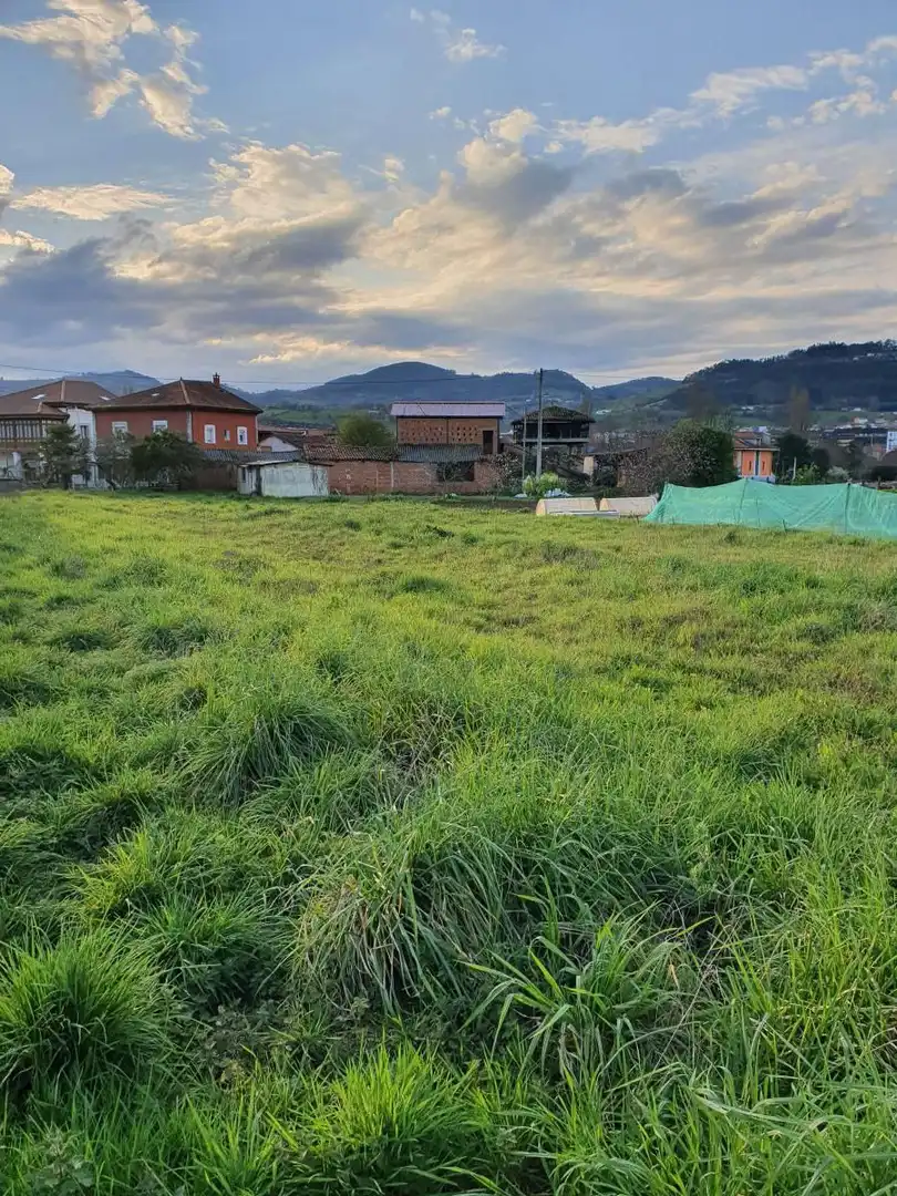 Residential land for sale in Grado, imagen 4