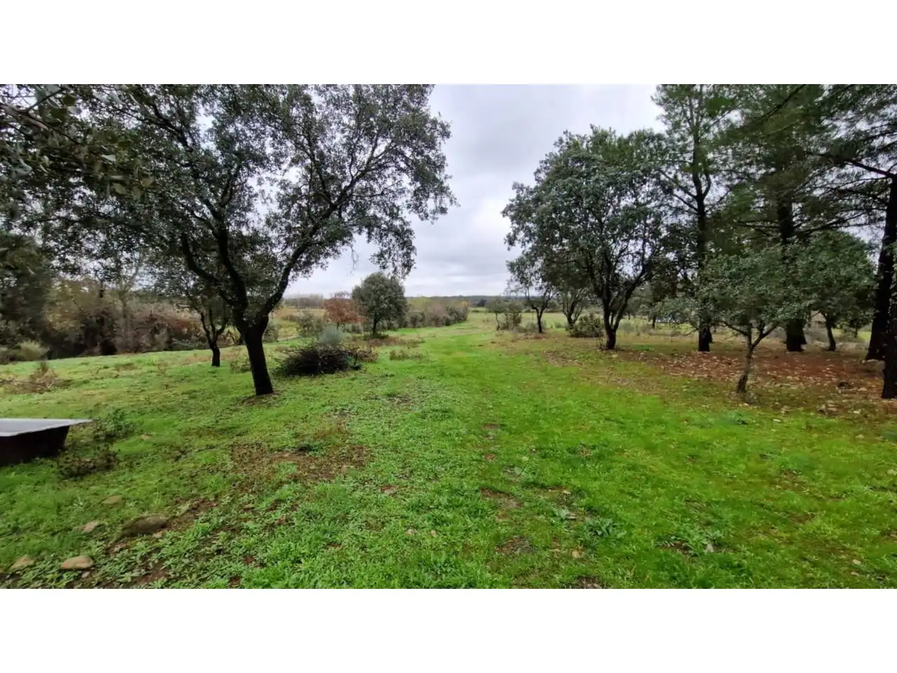 Terreno residenziale in vendita a Poligono 24 46, imagen 9