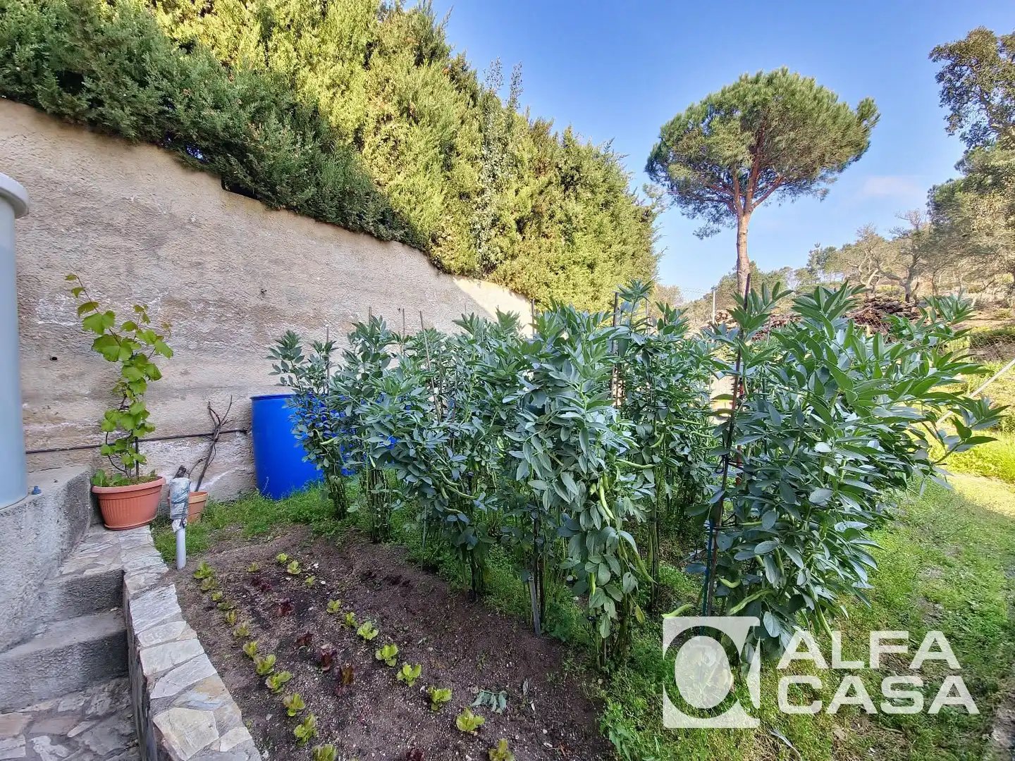 Garden of Houses for sale in Lloret de Mar  with Air Conditioner, Heating and Parquet flooring