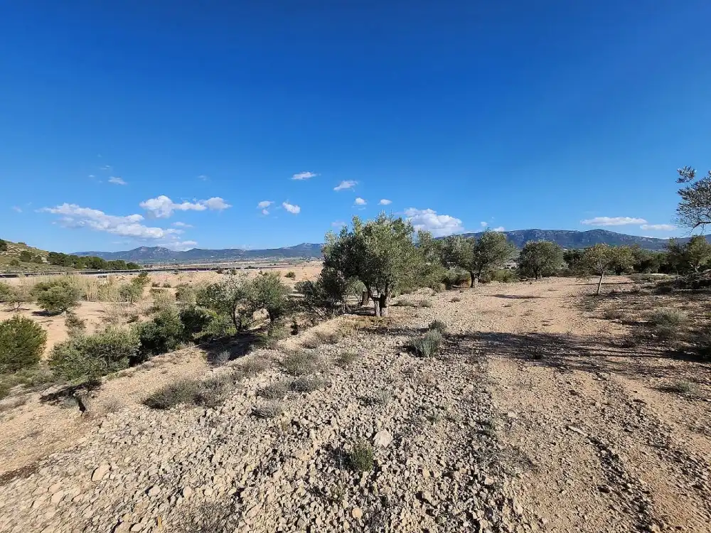 Casa o chalet en venta en Villena