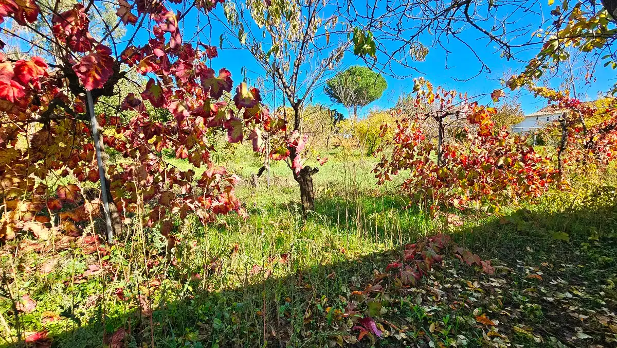 Casa rústica amb jardí en venda a Aracena, imagen 31