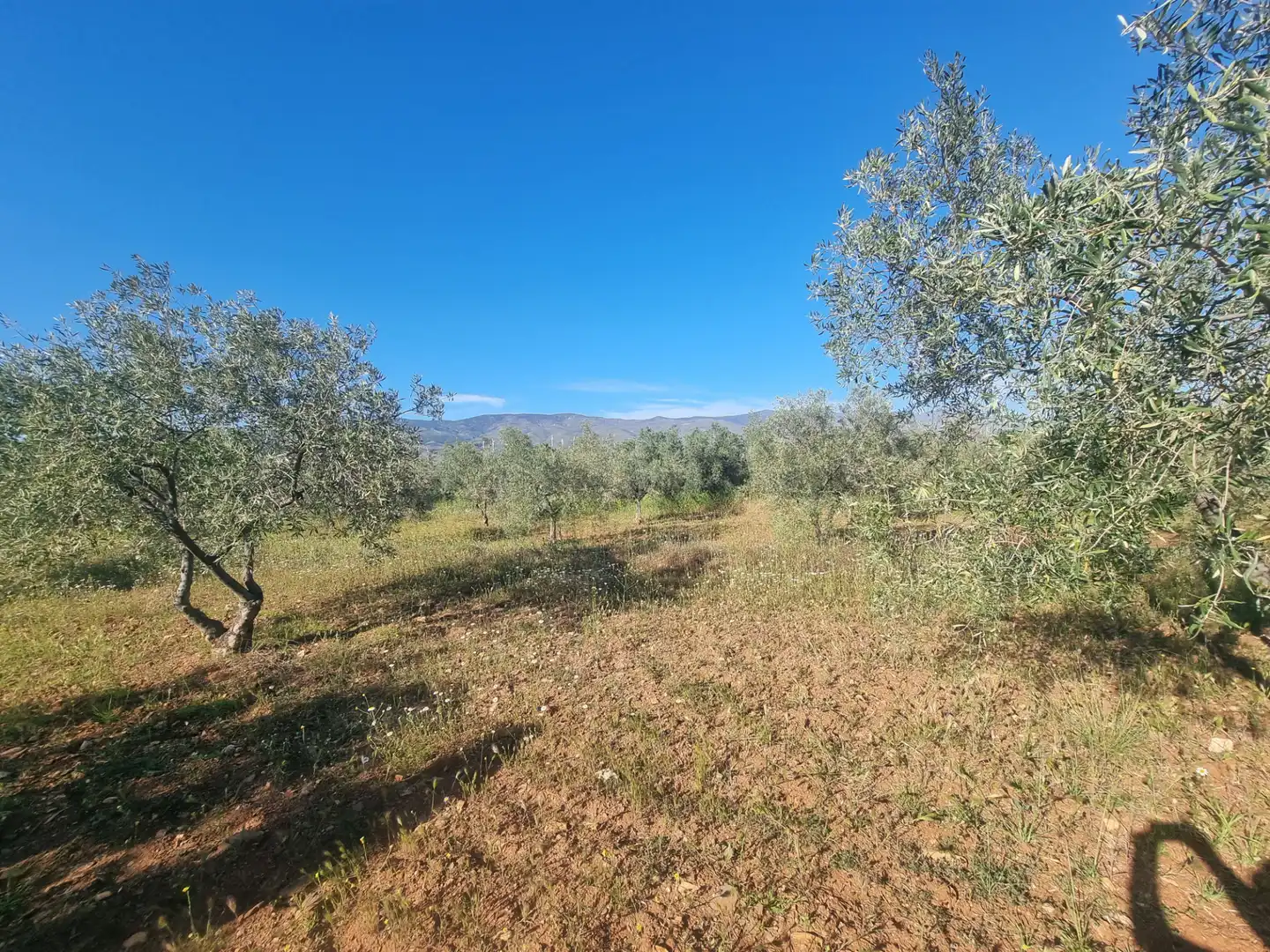 Terreno en venta en Abrucena