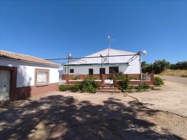 Haus zum Verkauf in Diseminados