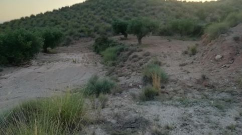 Foto 4 de Finca rústica en venta en Abanilla, Murcia
