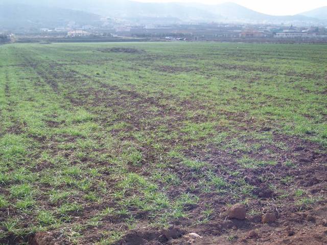 Terreno residencial en Venta en Hondón de los Frailes