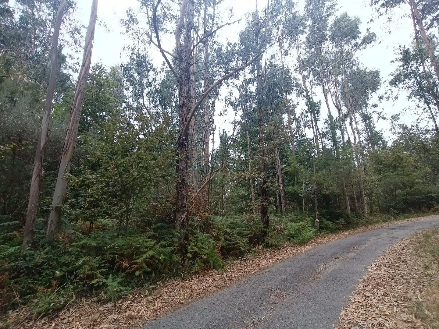Terreny residencial en venda a Lugar Os Petraños, imagen 9