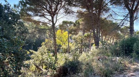 Photo 3 of Residential for sale in Carrer Garrofer, Aiguaviva Parc, Girona