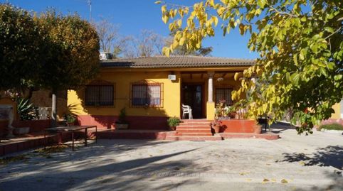 CHALET,  30,000 M2  DOS NAVES, 2 FANEGAS DE OLIVOS CON 2 POZOS., imagen 2