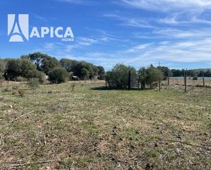 Land for sale in Barbate