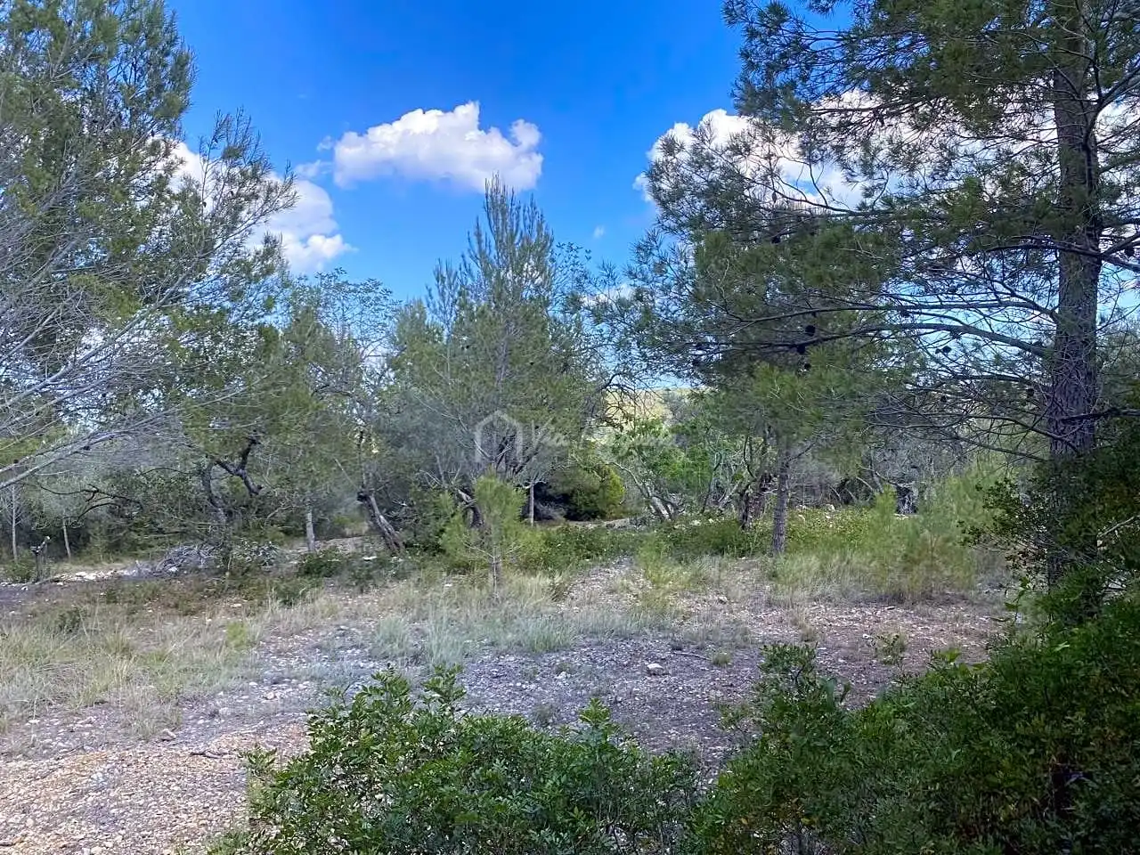 Terreno rustico in vendita a Ligallo de les Bordes, imagen 21