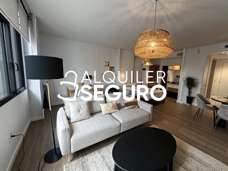 Living room of Study to rent in  Madrid Capital  with Air Conditioner, Heating and Furnished