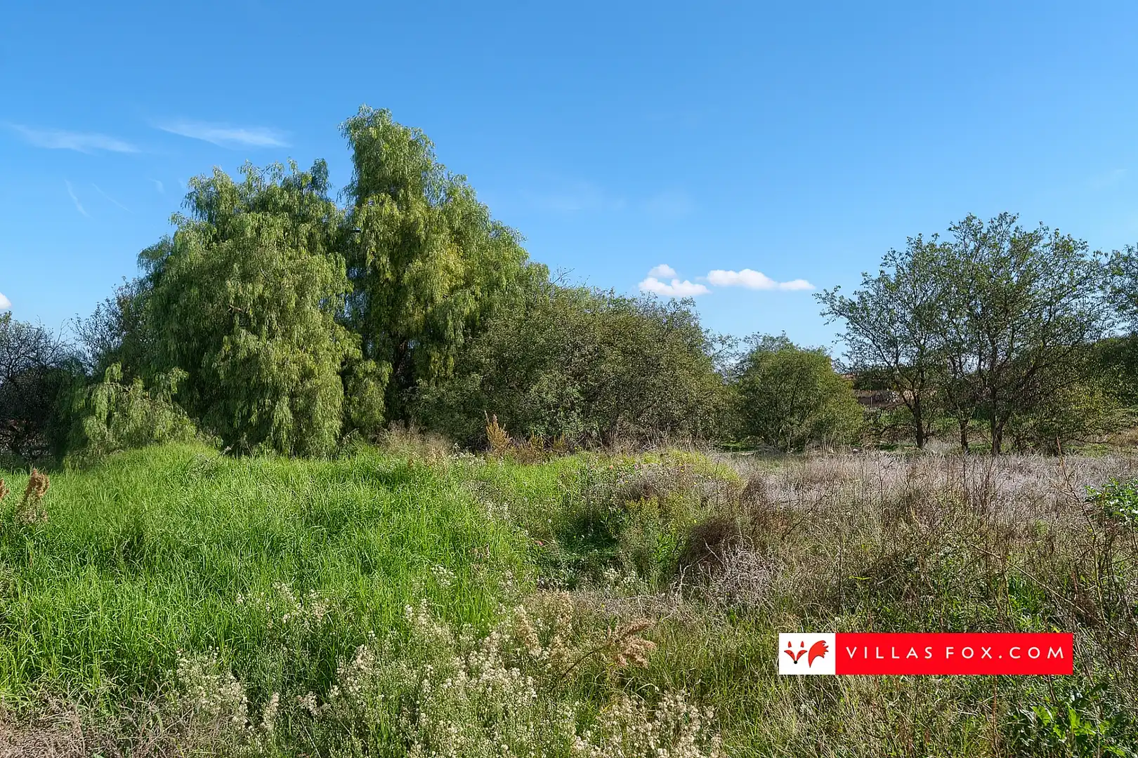Apartment for sale in San Miguel de Salinas, imagen 37