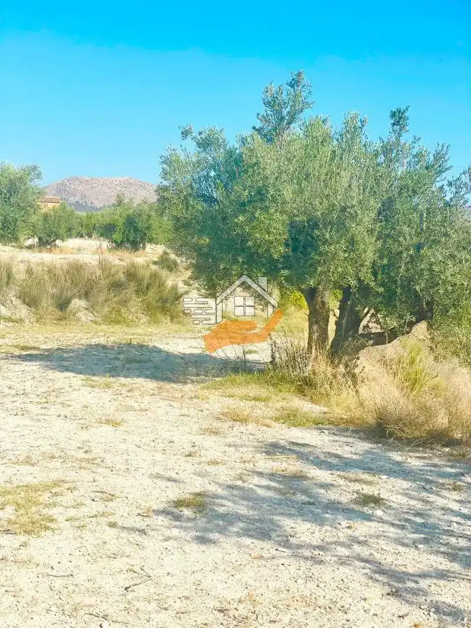 Country house for sale in Vélez-Blanco, imagen 13