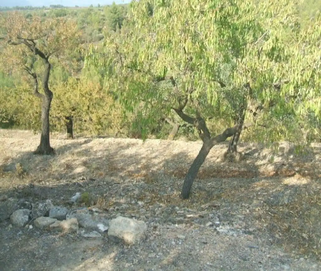 Rural land for sale in Tivissa, imagen 3