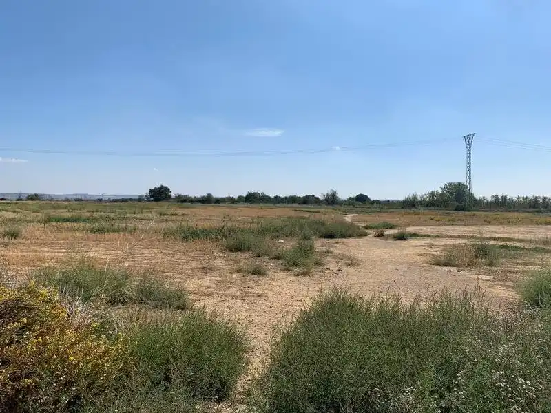 Terreni e lotti in vendita a Pedanias, imagen 2
