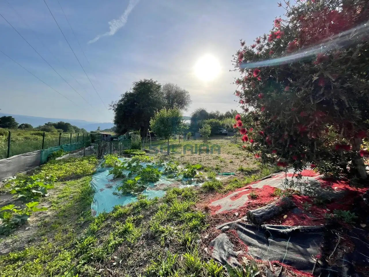 Terreni e lotti in vendita a Ventiun, imagen 6