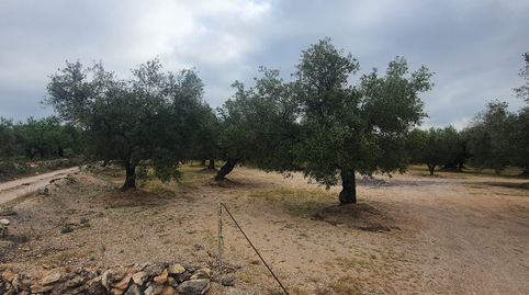 Finca en venta en Xerta, immagine 5