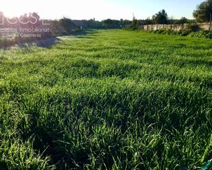 Finca rústica en venda en Pilas amb Aire condicionat i Traster