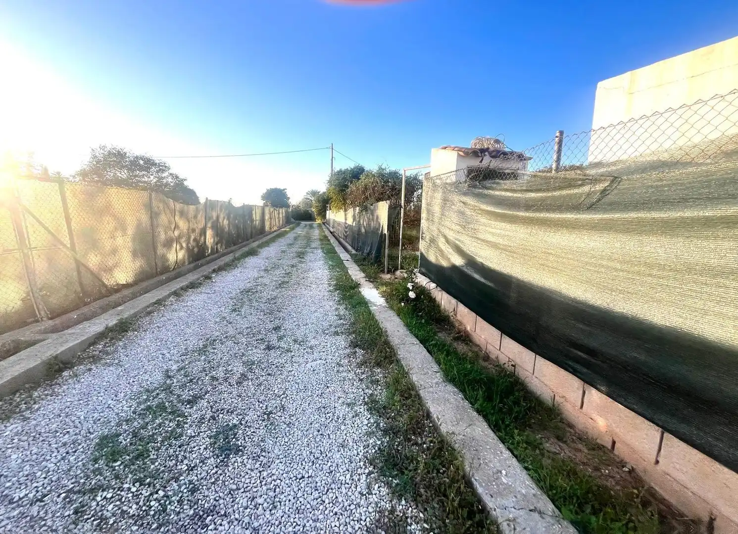 Terreno rustico in vendita a Carcaixent, imagen 4