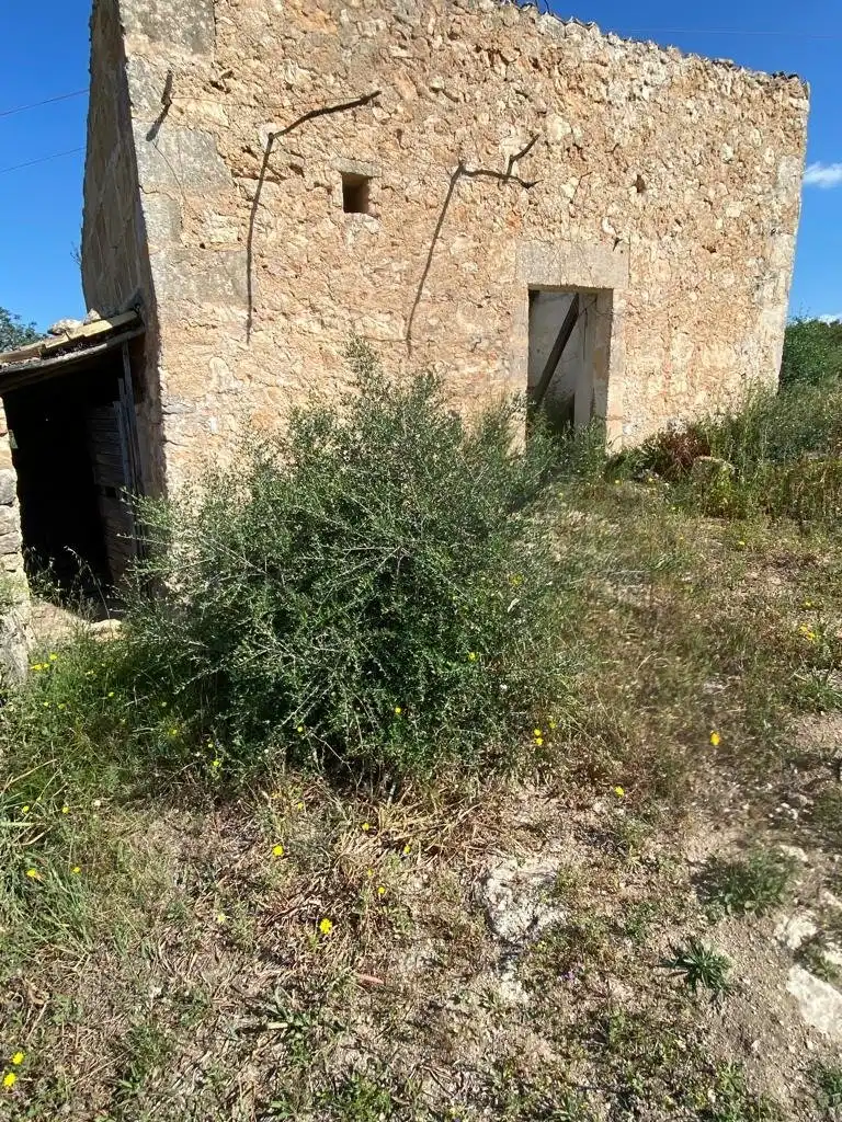Rustikales Grundstück zum Verkauf in Manacor Centre, imagen 4