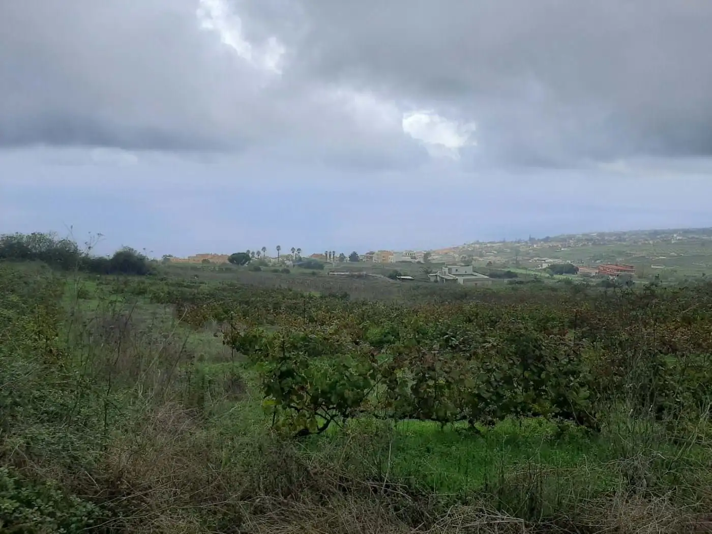 Terreny rústic en venda a CRUZ DE LEANDRO, imagen 13