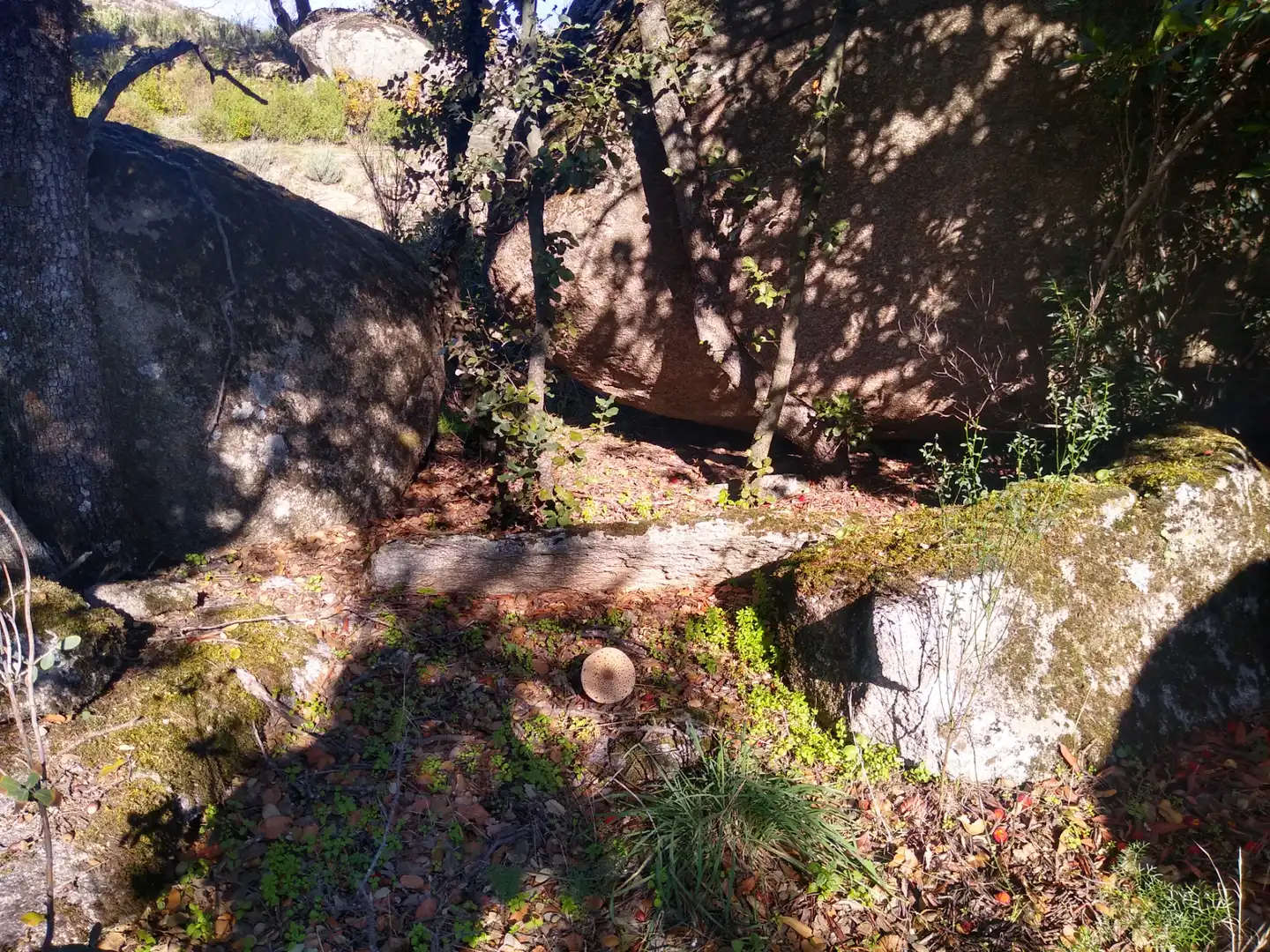 Rural land for sale in Cadalso de los Vidrios, imagen 16