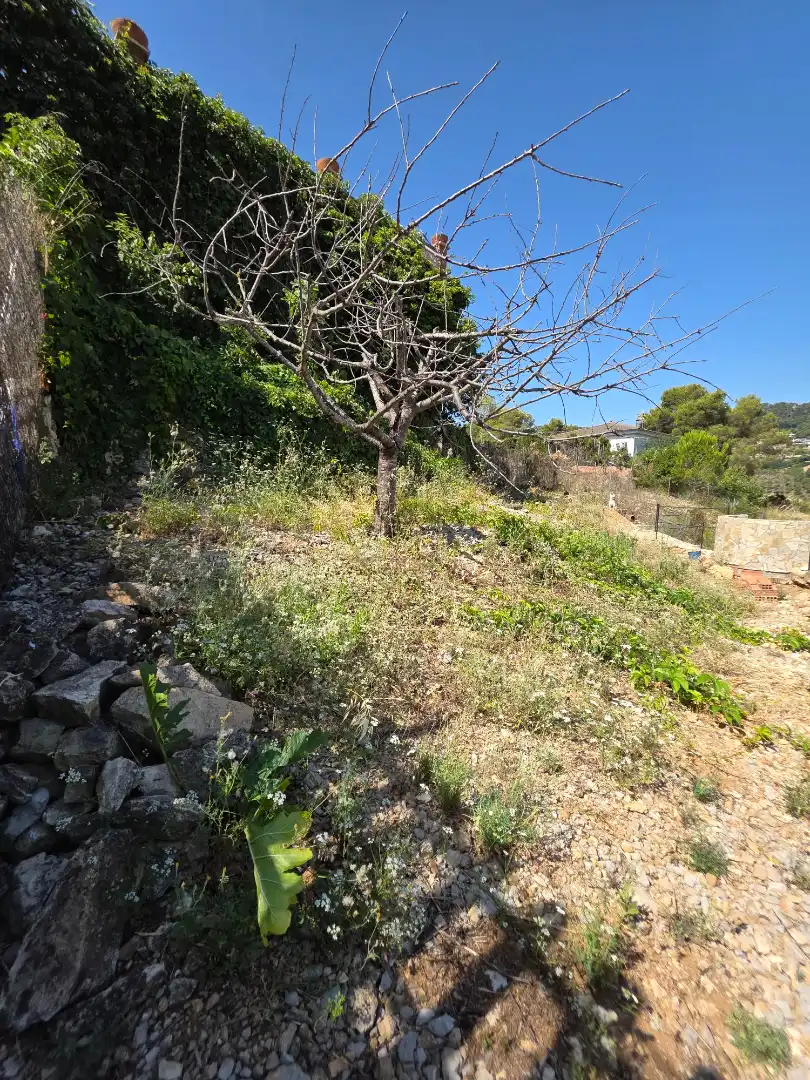 Casa amb terrassa en venda a Vallirana, imagen 56