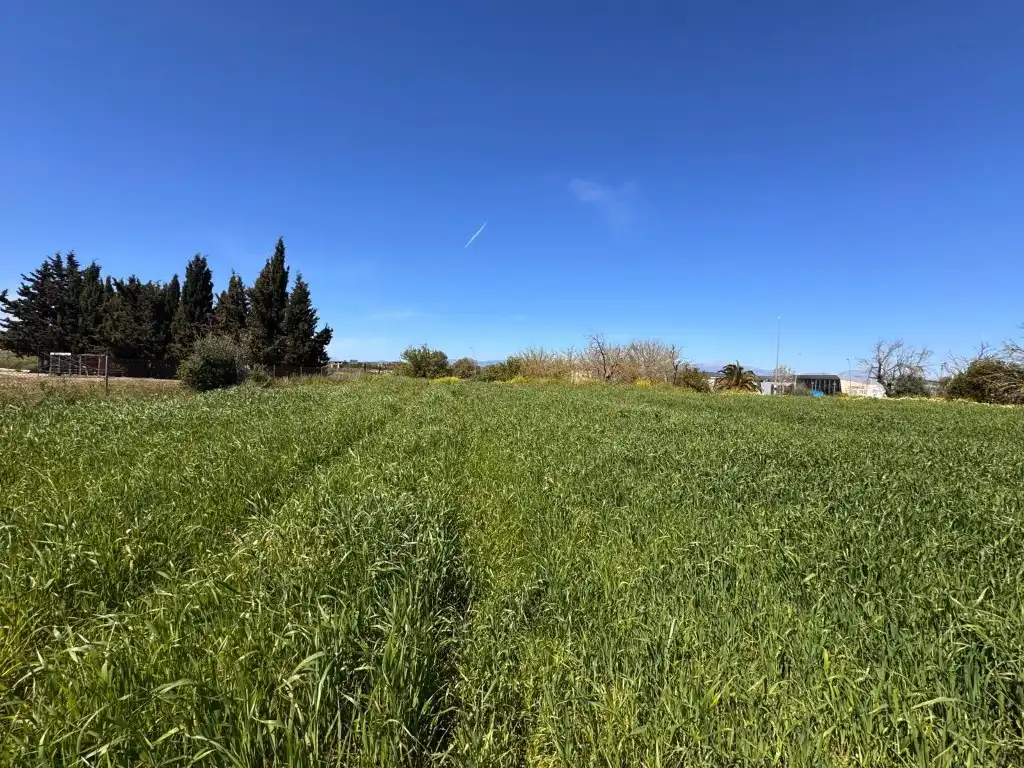 Terreno residenziale in vendita a Montuïri