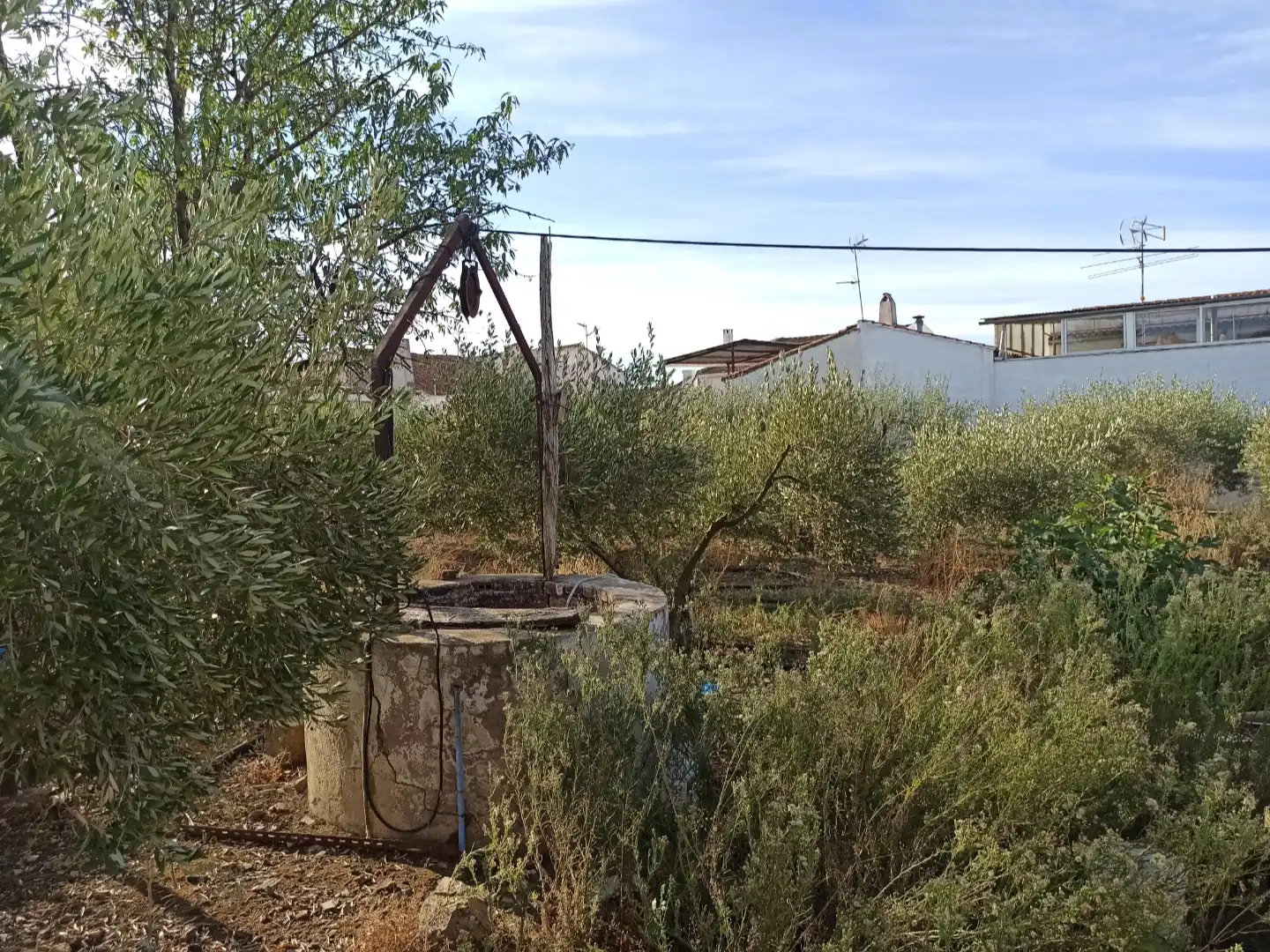 Land for sale in Granja de Torrehermosa