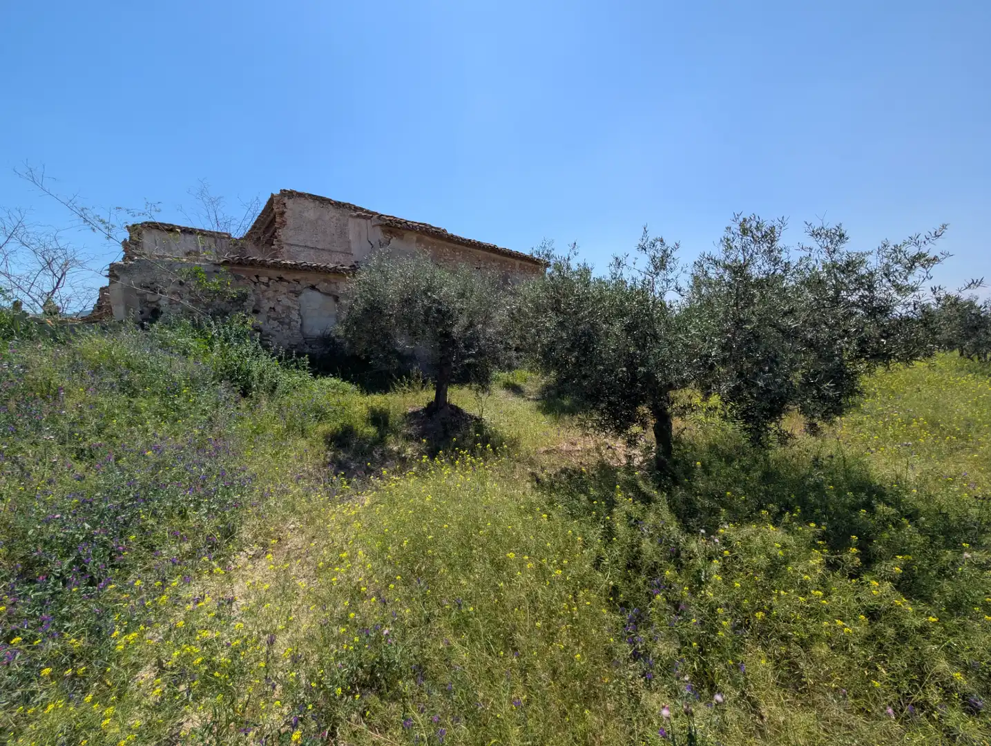 Casa rústica en venda a Pedanías Oeste, imagen 42