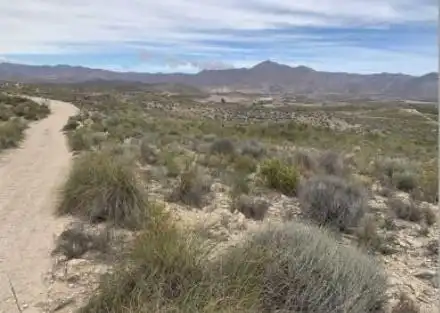 Terreny rústic en venda a Uleila del Campo