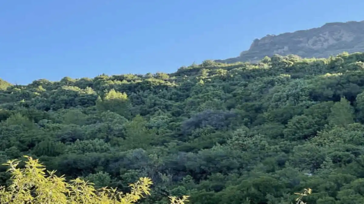 Residencial en venda en Agüero