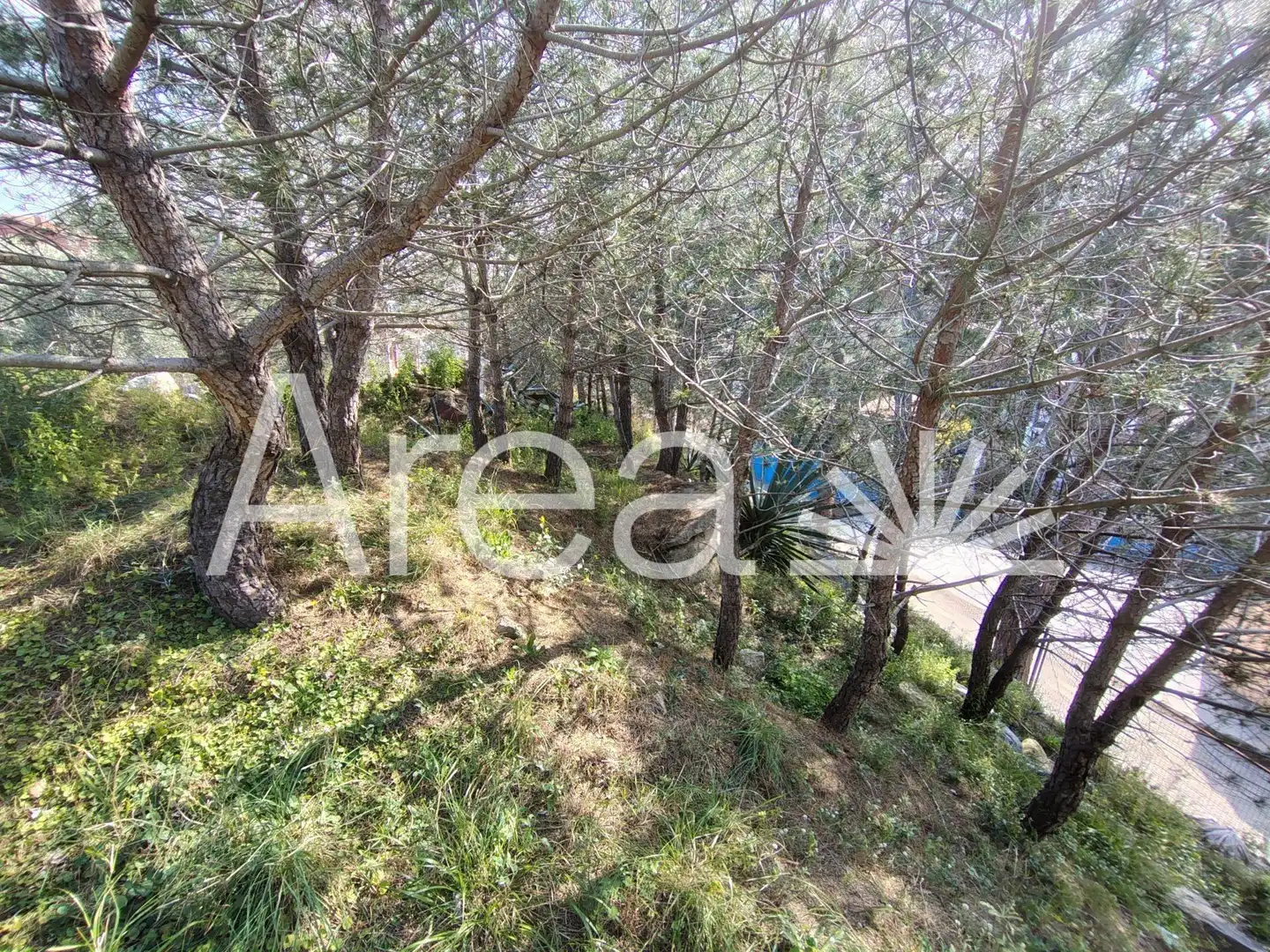 Terreno residencial en venta en Nucli Urbà, imagen 5